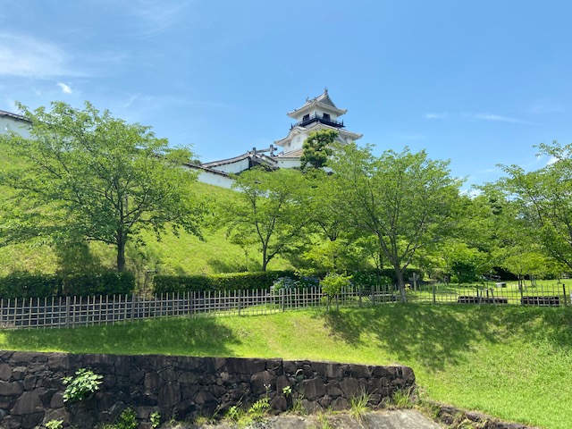 写真写りの良い掛川城