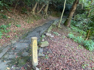 徳島城とこどっこい坂