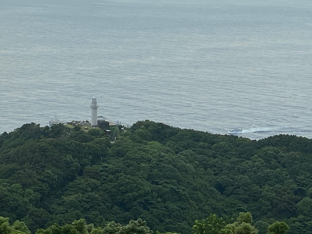 パノラマ展望台から鶴御崎灯台をみる