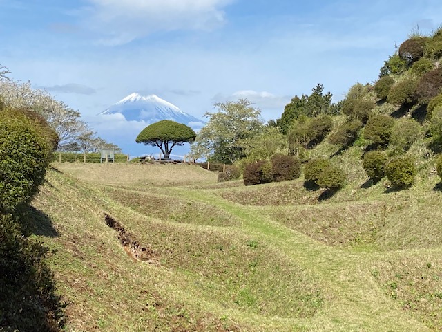この城の特徴の畝堀の先にも富士山